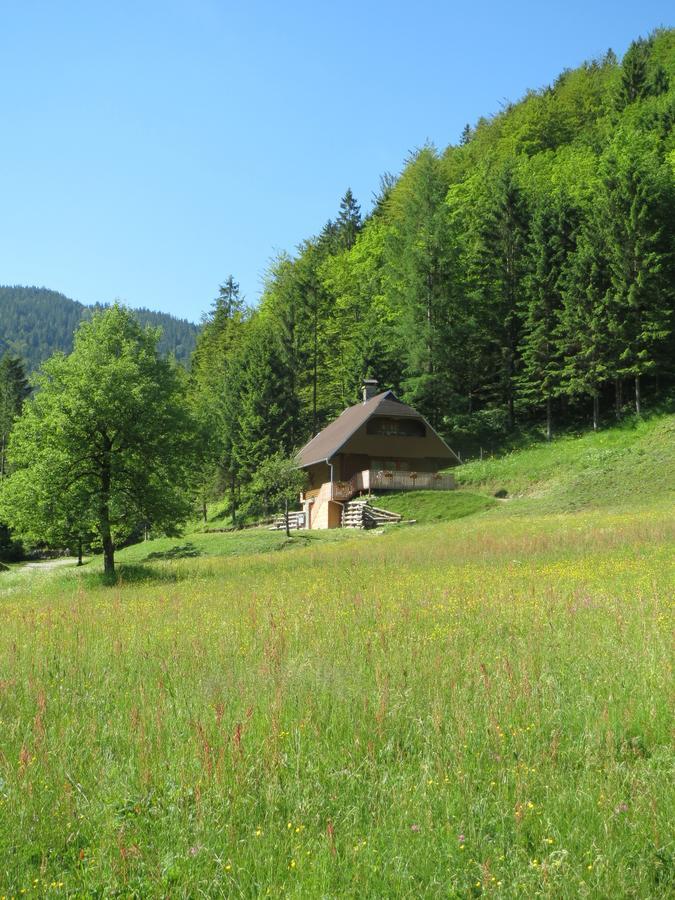 Apartmaji Brloznica Pod Veliko Planino Luče Rom bilde